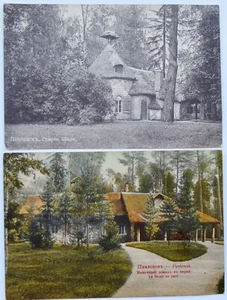 Russia Pavlovsk Chalet St.Petersburg Region 2 Postcards - Picture 1 of 2