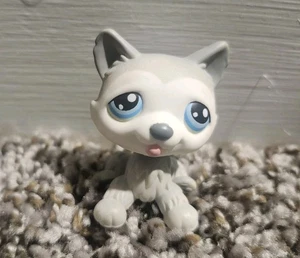 Littlest Pet Shop LPS Hasbro Figure #70 Light Gray Husky Blue Eyes Polar - Picture 1 of 3