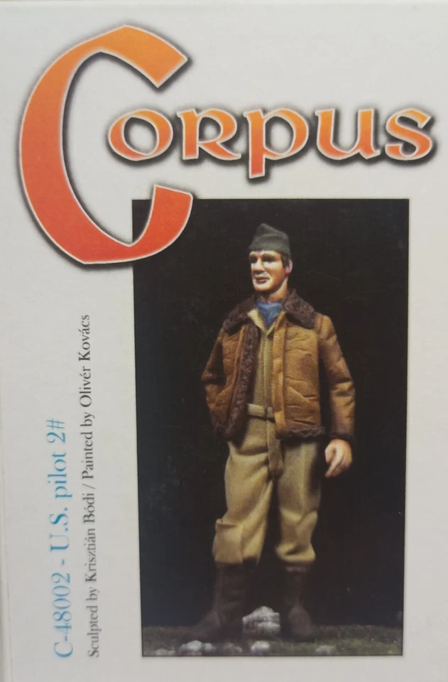 MODELLISMO- U.S. Pilot WWII  - CORPUS 1/48 scale - Immagine 1 di 1