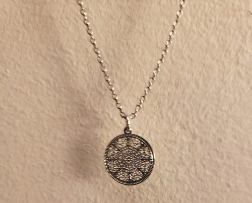 VETEMENTS Set orecchini collana filigrana leggera delicata tono argento Charming Charlie