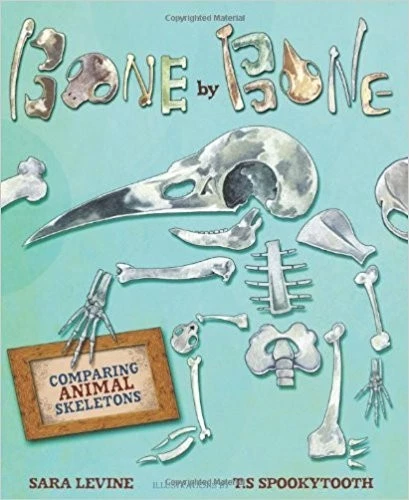 Bone by Bone - Image 1 of 1