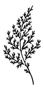 Really Great Stencils, Branches 2, 3x5.9", Leaves, Background, Bare, Tall Stems - Picture 1 of 1