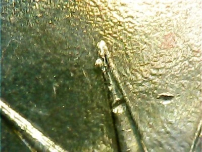 Presidential Dollar Error 2009 P Zachery Taylor Die Chip - Image 1 of 4