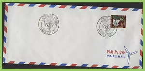 Malagasy 1959 Tropical Flora set on two Air Mail envelope First Day Covers - Picture 1 of 2