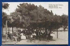 Fronleichnam Texas TX Unter den Salzzedern Hotel am Meer alte Postkarte - Bild 1 von 2