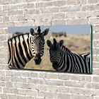 Glas-Bild Wandbilder Druck auf Glas 140x70 Deko Tiere Zwei Zebras