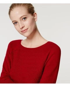 Neu mit Etikett Ann Taylor Loft Chevron Pullover tiefmarine oder pflaumenlila rot oder Baumwolle - Bild 1 von 14