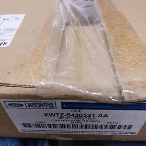 FORD XW7Z5420531AA Left Front Door Window Weatherstrip Seal - OEM - Bild 1 von 4