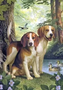 BEAGLE CHARMING DOG GREETINGS NOTE CARD, TWO BEAUTIFUL DOGS IN THE WOODS - Picture 1 of 1