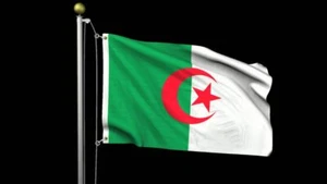 NEU ALGERIEN 2x3ft FAHNE überlegene Qualität verblassen widerstehen US-Verkäufer - Bild 1 von 3