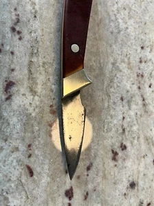 Vintage Old Timer Schrade 1560T Fixed Blade Hunting Knife 1823-PQ - Picture 1 of 4