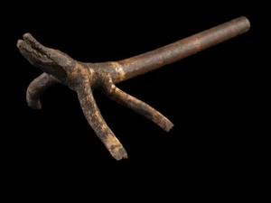 Racine crocodile, root carved, oceanic tribal art - Picture 1 of 7