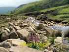 Photo 6x4 Crowden Great Brook Crowden/SK0799 The trees on the right hand c2007