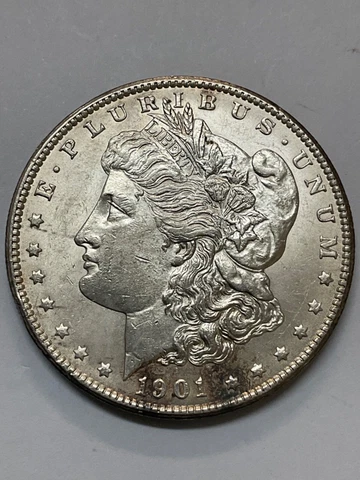1901 S MORGAN SILVER DOLLAR $1 Cover