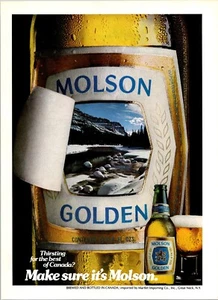 VINTAGE 1981 MOLSON GOLDEN BEER BAR ART PRINT AD - Picture 1 of 1