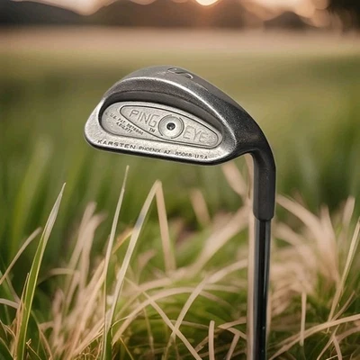 RH Ping EYE 2 SW Black Dot Stiff Flex 35.5" Golf Club UPC424 - Image 1 of 4