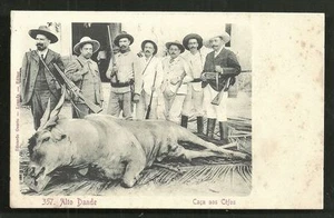 Angola Alto Dande Hunters Gun Cow Africa ca 1899 - Picture 1 of 1