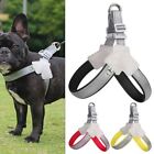 Pet Traction Rope Dog Chest Strap French Bulldog Collar Pet Harness Saddle