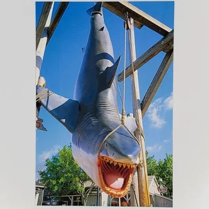 Universal Studios Florida Postcard Jaws the Ride Orlando Resort Shark Sharknado - Picture 1 of 2