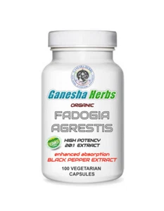 FADOGIA AGRESTIS 20:1 EXTRACT 200 capsules x 500mg with Black Pepper - Picture 1 of 2