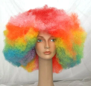 Very Large Rainbow Costume Afro Wig - Picture 1 of 4