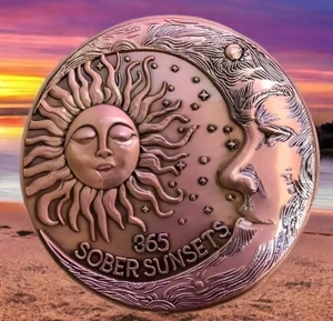 1 Year Sobriety Gifts, Living Sober Copper Chip Coin One Year AA Medallion Token - Picture 1 of 10