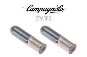 Campagnolo CN-SR600 12 Speed Ultra Link Chain Pins Pack of 2 For 12 Speed Chains - Picture 1 of 1