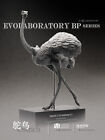 1/10 Muscle Anatomy Ostrich Model Art and Medical Teaching Animal Model