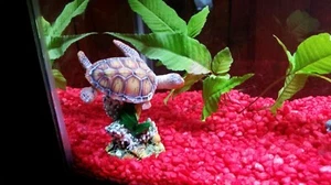 Penn-Plax Swimming Sea Turtle Decor for Aquarium Fish Tank Resin Decoration New - Picture 1 of 2