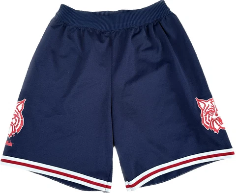 Vintage 90s University Arizona Wildcats Majestic Large USA Basketball Shorts VTG Cover