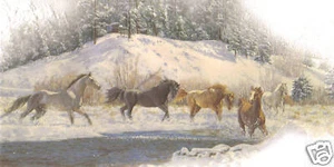 Leanin' Tree "Horses In Stream" - NEW 4 2009 - EMBOSSED - S/12 - Picture 1 of 1