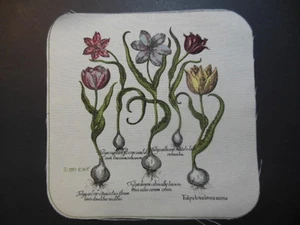 6 TULIPS & BULBS fabric pieces 8"x8", a Williamsburg Foundation Print  - NEW - Picture 1 of 1