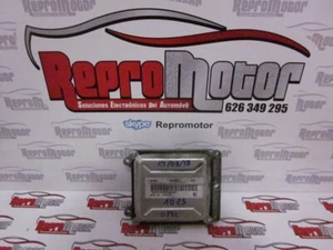 ECU DELPHI OPEL G01004 / DKTP - Imagen 1 de 2