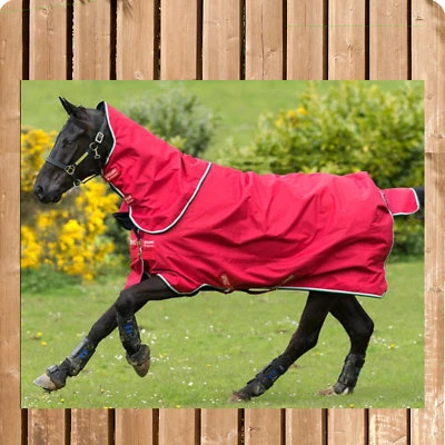 AMIGO Hero Acy Plus Medium red/white mit Halsteil, 200 g NEU Acy Technologie  - Bild 1 von 2