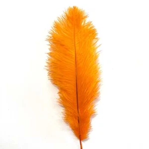 Ostrich Feather Drab 37-42cm - Orange - Picture 1 of 3