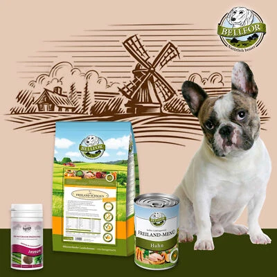 Bellfor Hundefutter Trocken 2,5 kg x 1 Nassfutter 400g x1 Immunszstem Pulver 80g - Bild 1 von 4