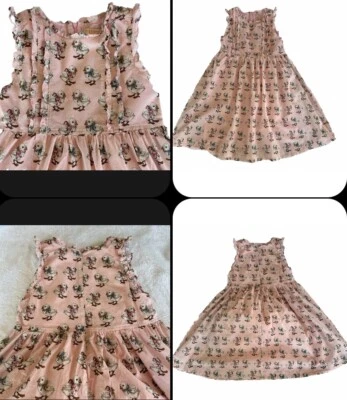 Vestido Rosa Pollo Nueva York Niña Talla 11 Pollitos Granja Campo Imagen Volantes Forrado Foto 1 de 4