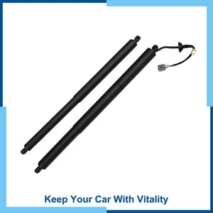 Pack of (2) Rear Lift Gate Struts W/ Power Liftgate for Ford Explorer - Picture 1 of 7