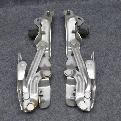 Chrysler 200 SDN 2011-14 par de bisagras de tapa de maletero PS2 plata brillante OEM 74300 Foto 1 de 4