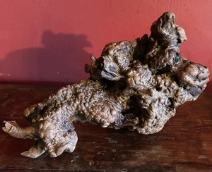 Treibholz knorrig Vintage gemaserter Wurzelknoten zum Ausstellen Vintage Nachlassfund - Bild 1 von 7