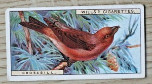 BRITISH BIRDS 1915, WILLS CIGARETTE CARDS, PICK YOUR CARD(S) LOT 1 , 1-25