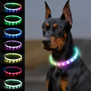 Pet LED Light-up Glow-in-the-dark USB Rechargeable Collar Dog Night Safety Flash - Picture 1 of 12