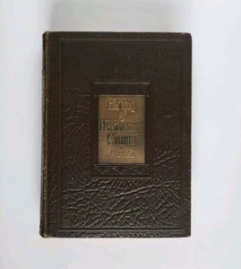 1928 Geschichte von HILLSBOROUGH COUNTY FLORIDA von ERNEST L. ROBINSON, TAMPA - Bild 1 von 17