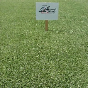 (En pedido pendiente hasta 2026) Semilla de hierba Pennington Triangle Bermuda - 10 libras - Imagen 1 de 1