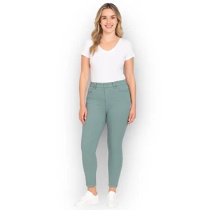 Neu mit Etikett Buffalo David Bitton hoch geschnittene weiche Stretchhose – Teeblatt – Größe 16/36 - Bild 1 von 8