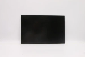 5D11D04724 FRU 16 2.5k IPS AG WQX Color CS - Picture 1 of 4