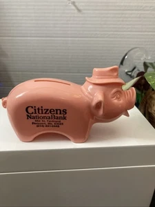 Vintage Plastic Pig Piggy Bank-Bank Advertising Citizens National Florissant MO - Picture 1 of 3