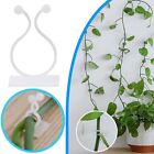 Green Radish Holder  Vines And Green For Home  Traceless And Nail  Climbing On