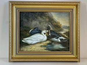 Framed Original Oil Painting, Ducks in a Natural Setting - 34x30 cm - Picture 1 of 12