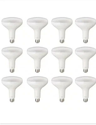 PRIVATE BRAND 75-Watt Equivalent BR40 Dimmable LED Bulb Soft White (12-Pack) - Image 1 of 3